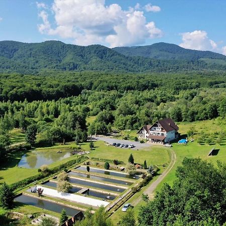 Valea Salbatica Otel Sinca Noua Dış mekan fotoğraf