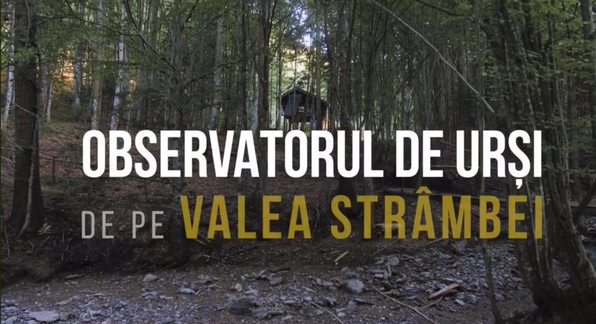 Valea Salbatica Otel Sinca Noua Dış mekan fotoğraf