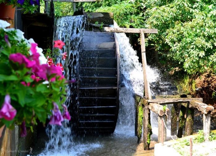 Valea Salbatica Otel Sinca Noua Dış mekan fotoğraf