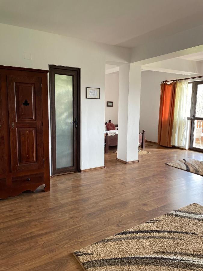 Valea Salbatica Otel Sinca Noua Dış mekan fotoğraf
