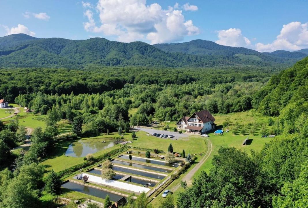 Valea Salbatica Otel Sinca Noua Dış mekan fotoğraf