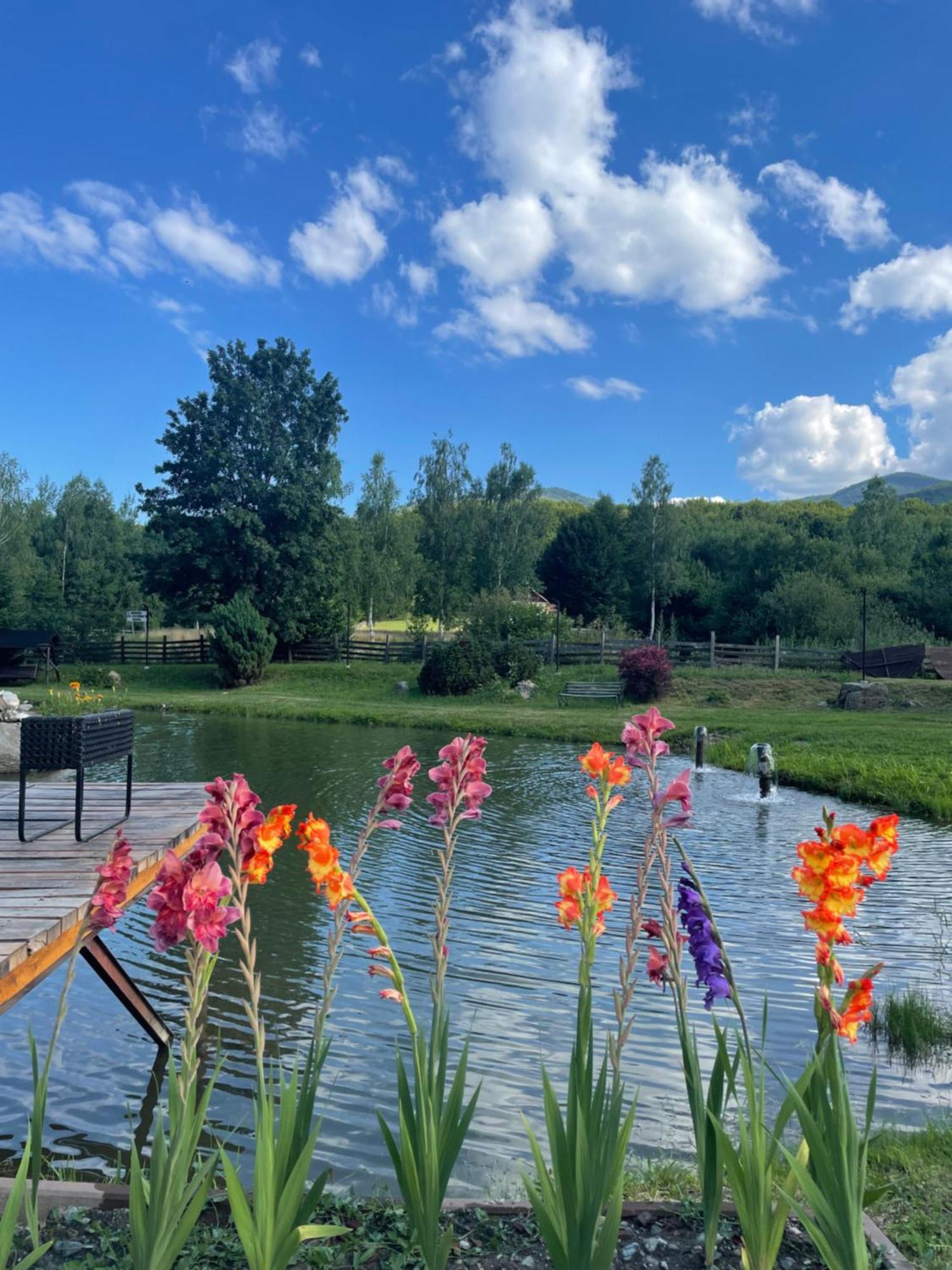 Valea Salbatica Otel Sinca Noua Dış mekan fotoğraf