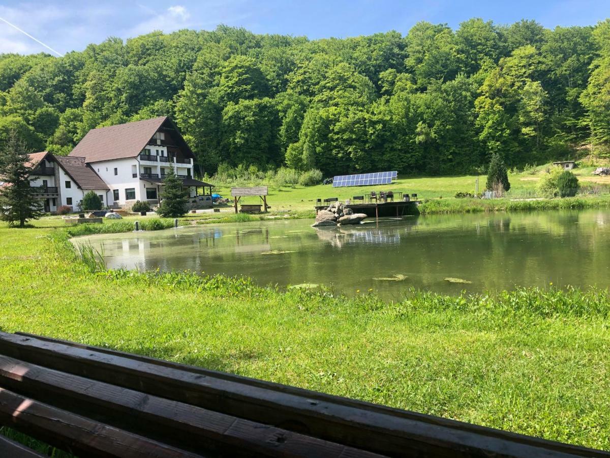 Valea Salbatica Otel Sinca Noua Dış mekan fotoğraf
