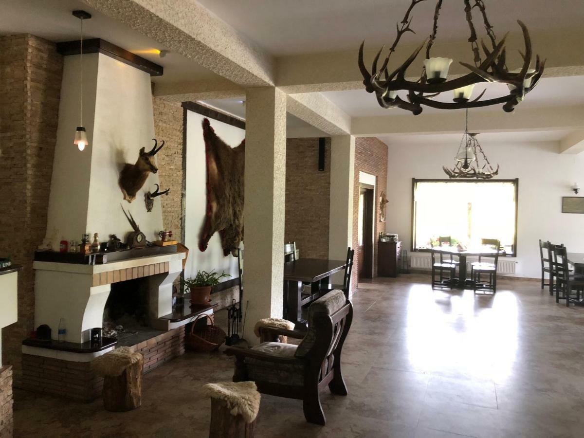Valea Salbatica Otel Sinca Noua Dış mekan fotoğraf