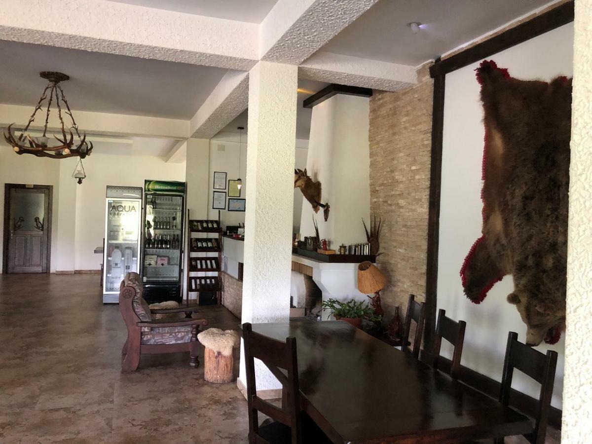 Valea Salbatica Otel Sinca Noua Dış mekan fotoğraf