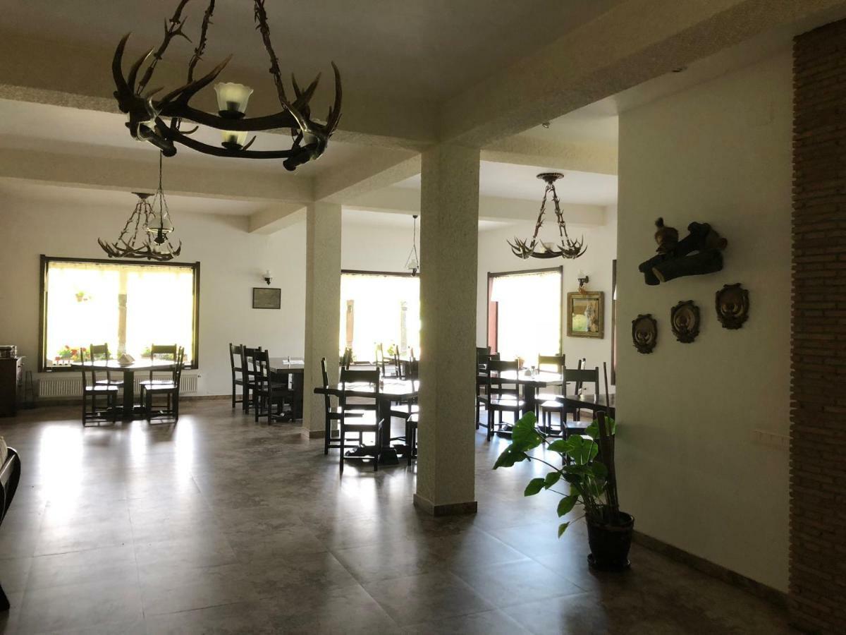 Valea Salbatica Otel Sinca Noua Dış mekan fotoğraf
