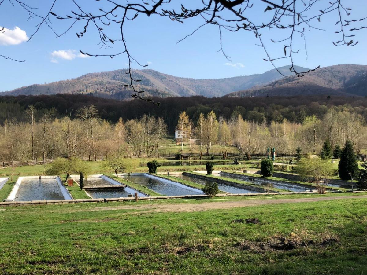 Valea Salbatica Otel Sinca Noua Dış mekan fotoğraf